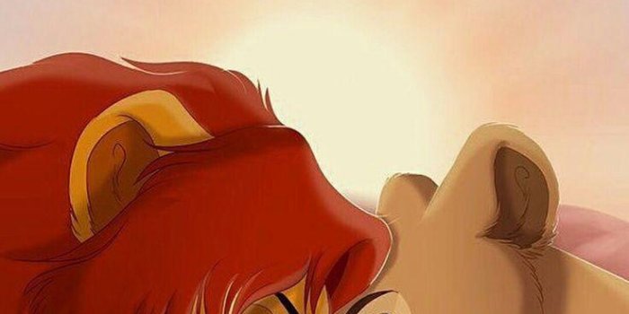 736x1308 Lion King iPhone Wallpapers - Top Free Lion King iPhone Backgrounds