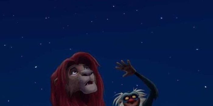 720x1280 the lion king art shared by 