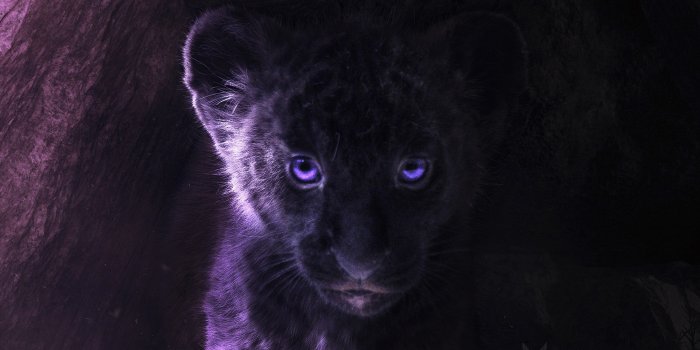 3840x2160 Wallpaper 4k Simba Fan Art 4k 2019 movies wallpapers, 4k-wallpapers