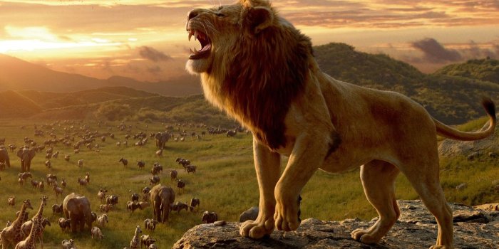 1332x850 Wallpaper animals, sunset, the film, mane, Leo, The Lion King, film