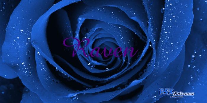 1920x1080 raven labled rose - Raven and Robin Wallpaper (10040429) - Fanpop