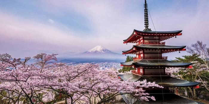 2048x1367 This Man Has Photographed Mount Fuji for Seven Years