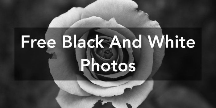 1500x1000 Free black and white photography · Pexels · Free Stock Photos