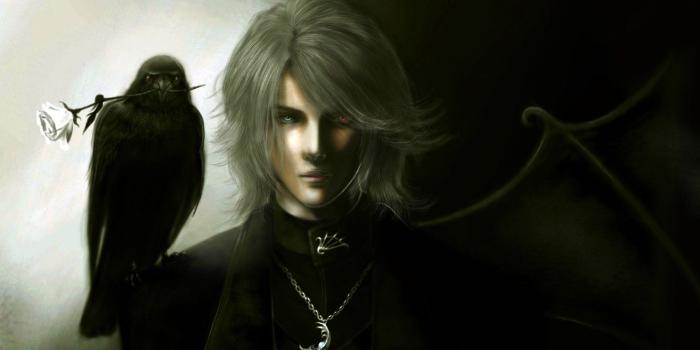 1332x850 Wallpaper rose, wing, Guy, Raven, different eyes, heterochromia