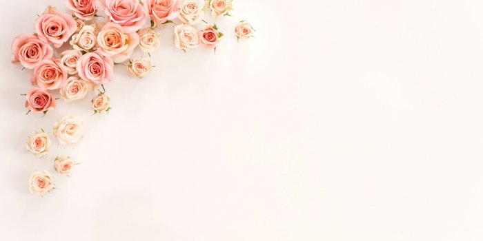 1856x1161 Teagen Sauer on Wedding in 2019 | Laptop wallpaper, Rose gold