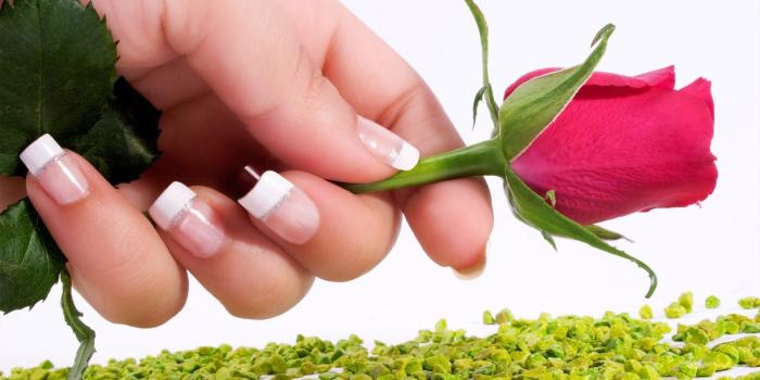 1600x1000 Beautiful Rose Blue Titans Raven Teen Title Wallpaper Spots Photos