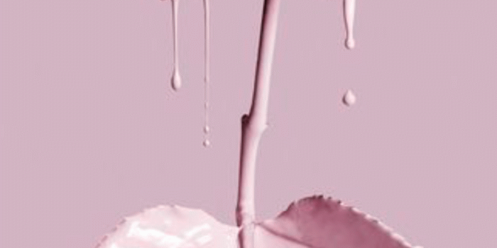 1242x2208 65+ Trippy Rose Wallpapers - Download at WallpaperBro