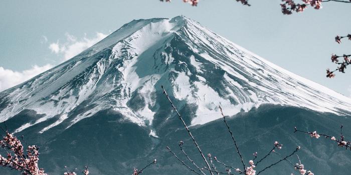 2121x4592 Mt. Fuji with Sakura in Japan [2121x4592] | iPhone Wallpapers - DIY