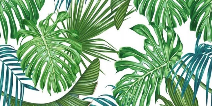 1000x800 US $9.0 40% OFF|Beibehang papel de parede Custom Wallpaper Mural European  Fashion plant leaves Rainforest Banana leaf wallpaper for walls 3 d-in