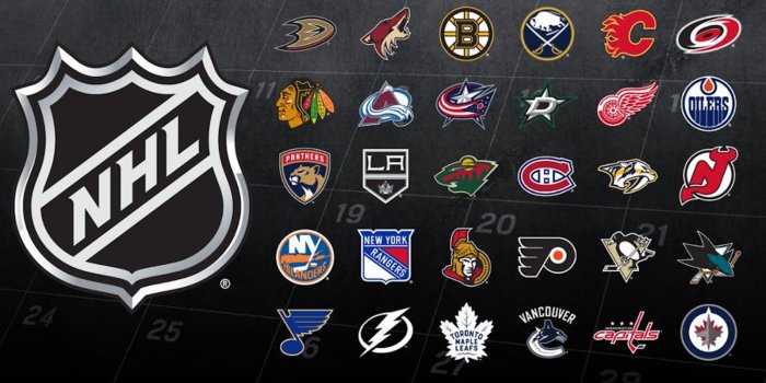 1600x900 The 31 NHL team logos, ranked | FOX Sports