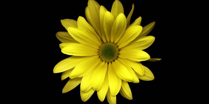1920x1200 30 HD Yellow Wallpapers