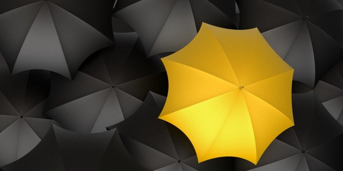 2560x1600 Black Yellow Wallpaper #7030986