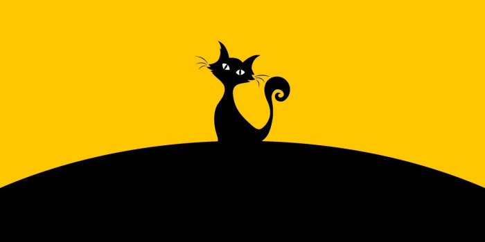 1280x1280 Download wallpaper 1280x1280 cat, silhouette, black, yellow