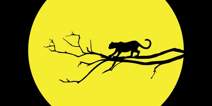 3840x2400 Download wallpaper 3840x2400 cougar, jaguar, minimalism, vector