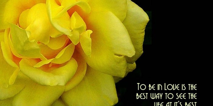 1920x1080 Best Black and Yellow Wallpaper | 2019 Cute Wallpapers