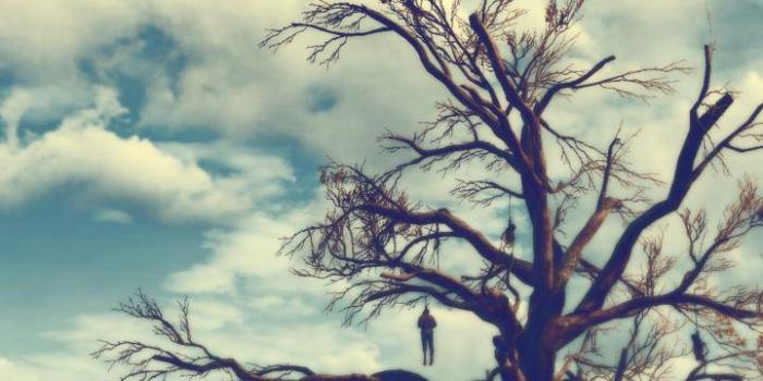 720x1280 Witcher 3 phone wallpaper - file.army