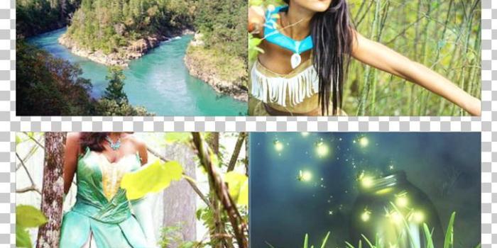 728x1445 Space Mountain Consciousness Water Resources Del Rio The Walt Disney