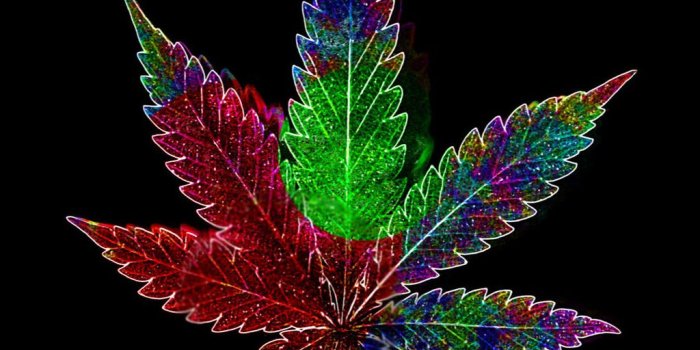 1024x768 3D Wallpaper Cool Weed Leaf Marijuana Hd Wallpapers | Wallpapers Up