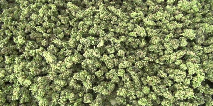 1920x1080 Weed Wallpaper Tumblr_hd wallpaper_download free wallpaper