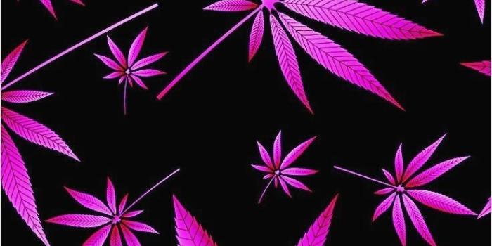 737x1311 10 Cool Wallpapers Weed - Download Wallpaper HD For PC Computer