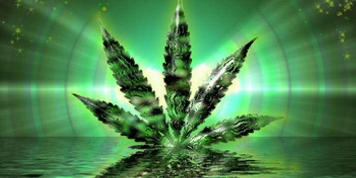 1920x1080 Funny weed wallpapers Gallery