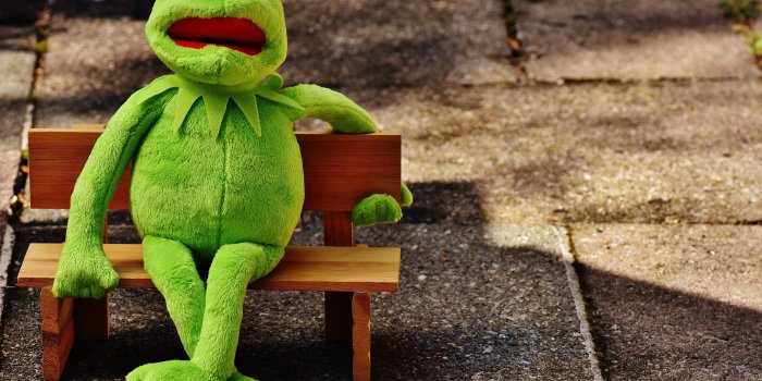 5675x3911 Kermit The Frog Wallpaper (26+ images) on Genchi.info