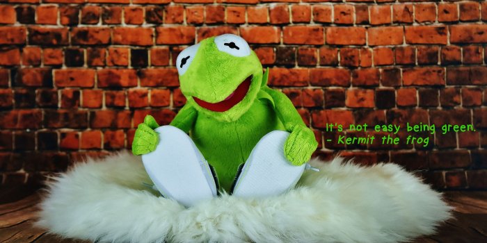 1920x1080 Its not easy being green. Kermit the frog - Wallpapers