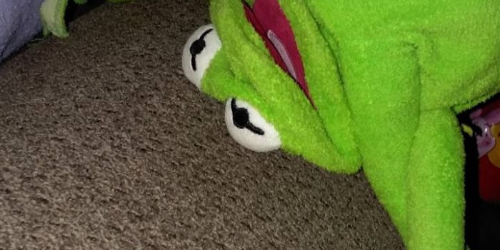 720x1280 Kermit Wallpaper by Trashdoodle - 04 - Free on ZEDGE™