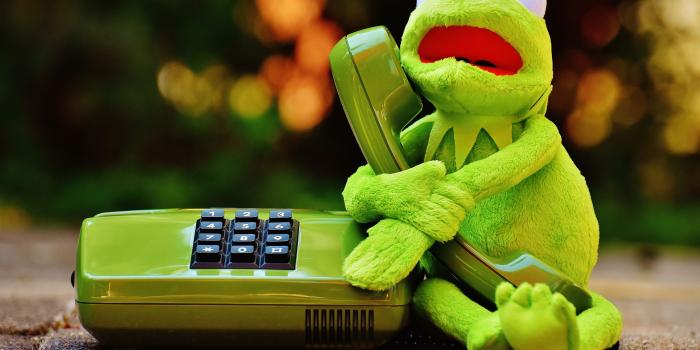6000x4000 Kermit The Frog Wallpapers