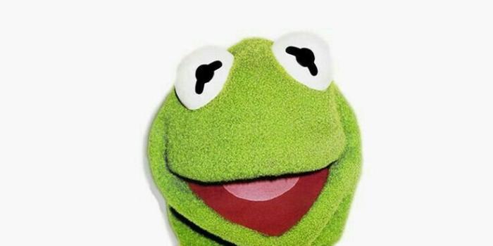 736x1308 Cute Frog iPhone Wallpapers - Top Free Cute Frog iPhone Backgrounds