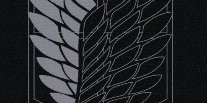 720x1280 Wings Of Freedom Wallpaper by wxlf20 - e0 - Free on ZEDGE™