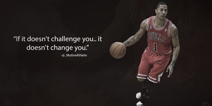 2560x1440 Derrick Rose Wallpaper Full Hd ~ Festival Wallpaper