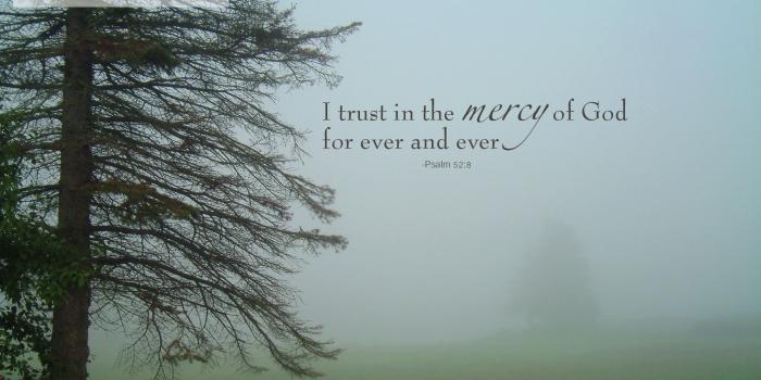 1920x1200 Wallpaper: 