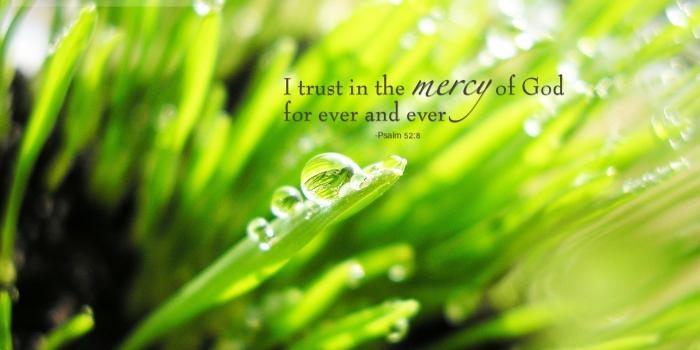 1920x1200 Wallpaper: 