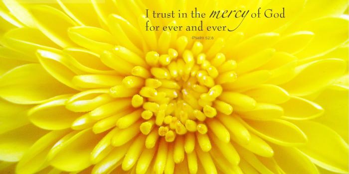 1920x1200 Wallpaper: 