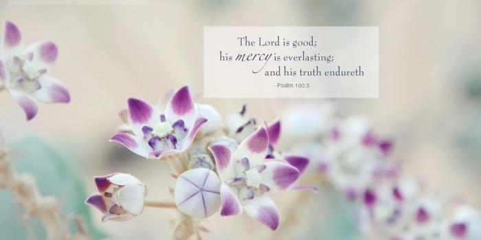 1920x1200 Wallpaper: 