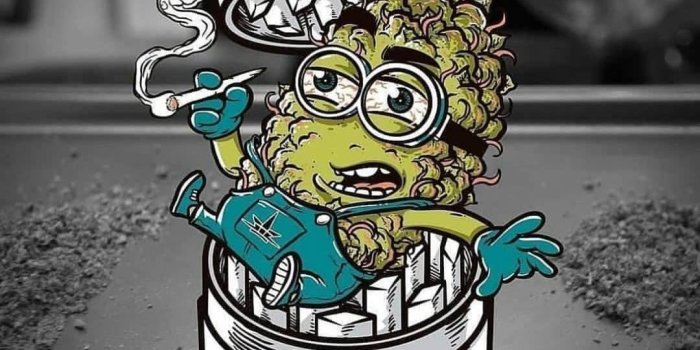 1080x1045 3,667 curtidas, 23 comentários - Daily Weed Posts