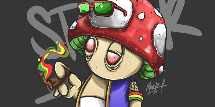 1080x1080 TWIST IT on Mary Jane | Stoner art, Dope art, Weed pictures