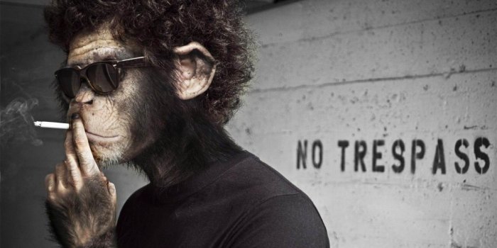 1366x768 Girl Smoking Wallpaper (19+ images) on Genchi.info