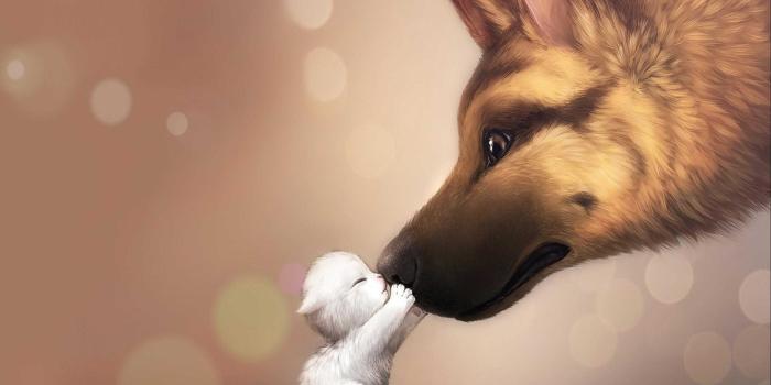 2880x1800 cute animation animal definition anime pc hd | Picsible | Cute