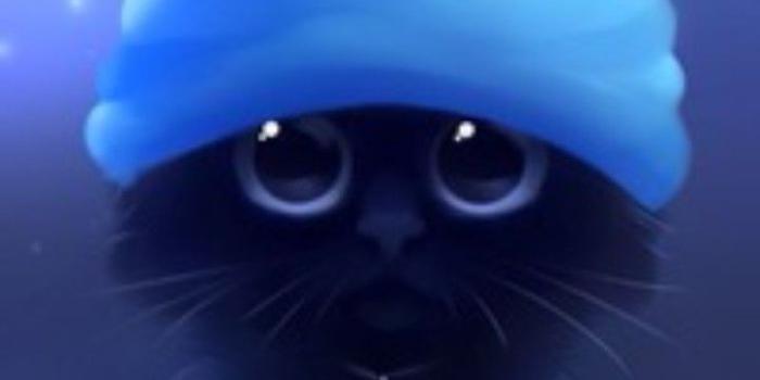 720x1280 Charlinedulabrador on Cat special | Cute animal drawings