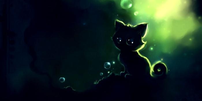 1488x809 Cute Anime Kitten Wallpaper | Wallpapers Screen