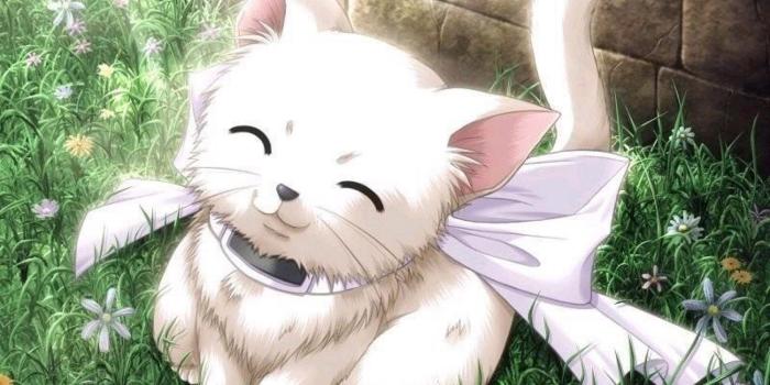 1920x1080 Anime Animals Wallpapers Wallpaper Cave Cute Cat - Litle Pups