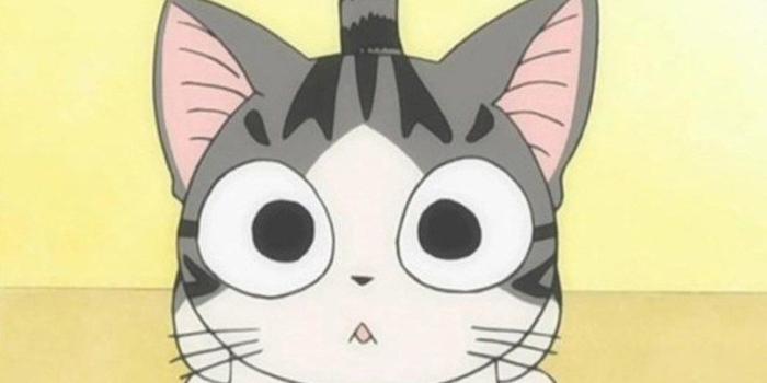 806x1433 Cute Anime Cat Backgrounds | Wallpapersimages.org