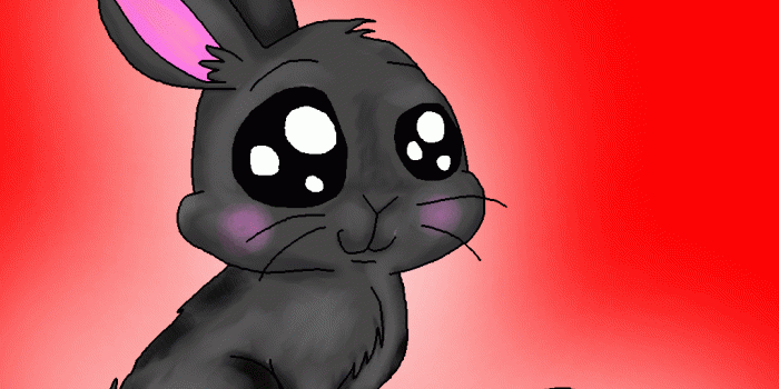 1024x768 45+ Fluffy Bunny Cartoon Wallpapers - Download at WallpaperBro