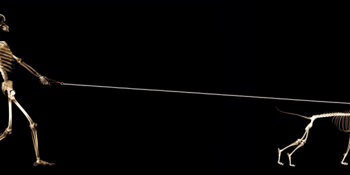 3840x1080 Best 43+ Dual Wallpaper on HipWallpaper | Dual Stormtrooper