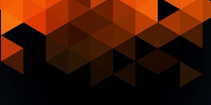 736x1308 Best Wallpapers Iphone Group - Iphone X Wallpaper Orange (#922418