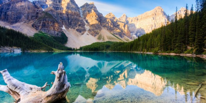 1920x1080 65+ Nature 1920X1080 Wallpapers on WallpaperPlay