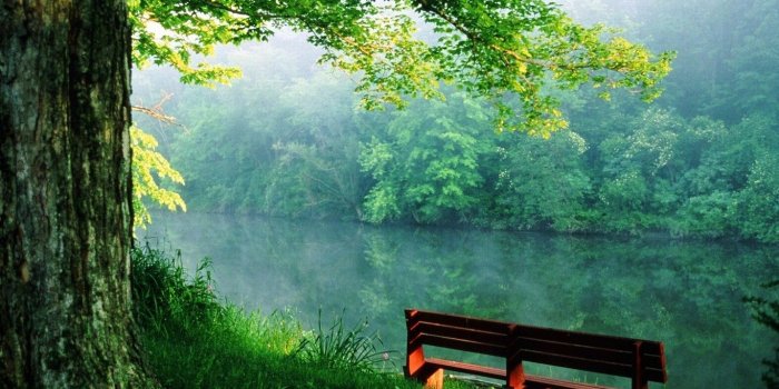 1366x768 beautiful flowers pink roses wallpaper | Zellox | Psd background in