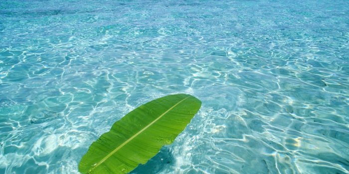 1600x1000 Download Nature Wallpaper Hd (65+) - Free Wallpaper For your screen.